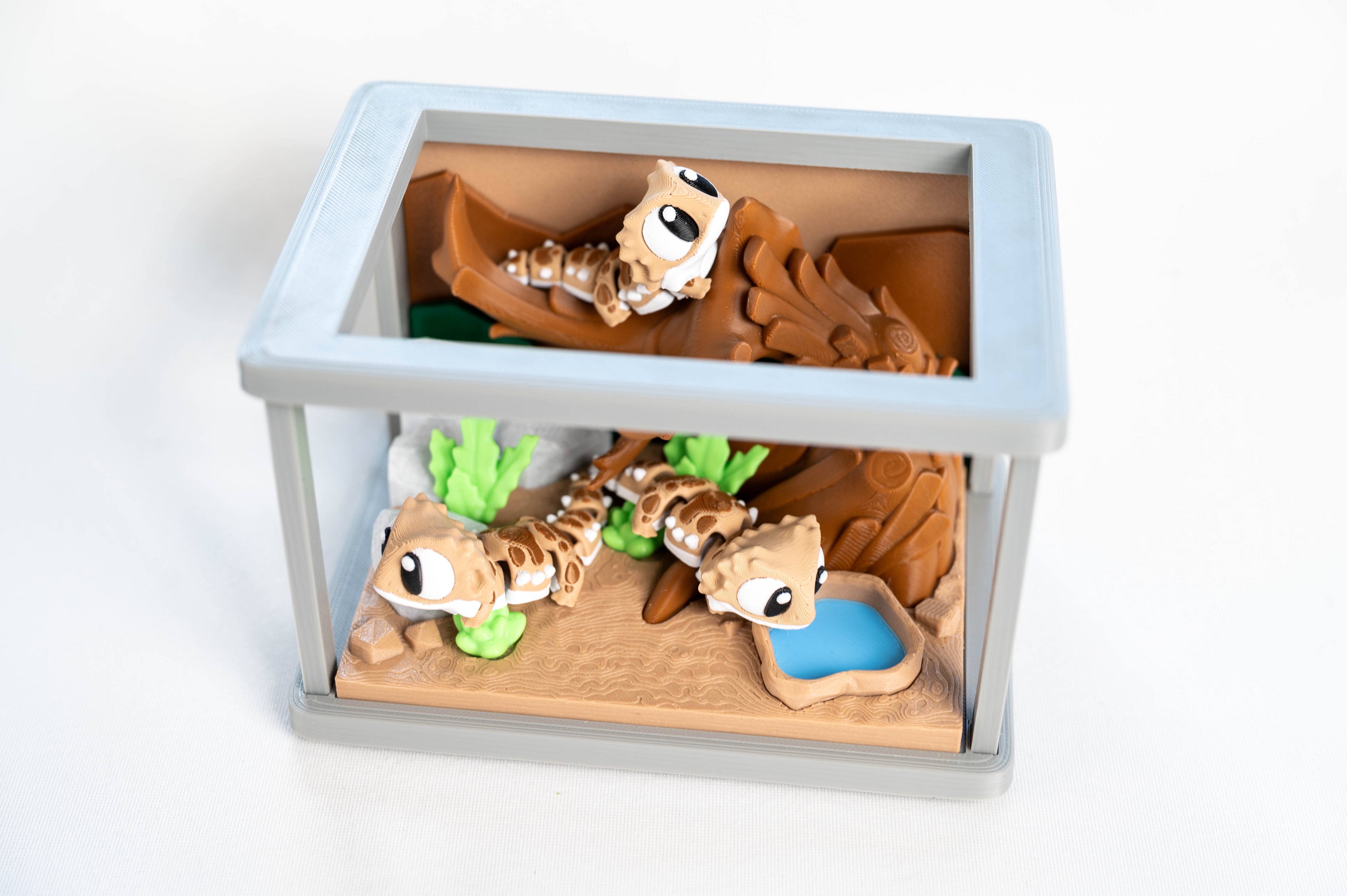 Bearded Dragon | Terrarium