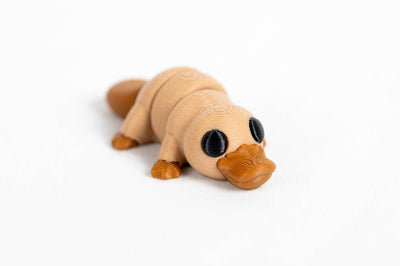 Platypus : Brown Australian Woodland Forest 3D Printed Animal