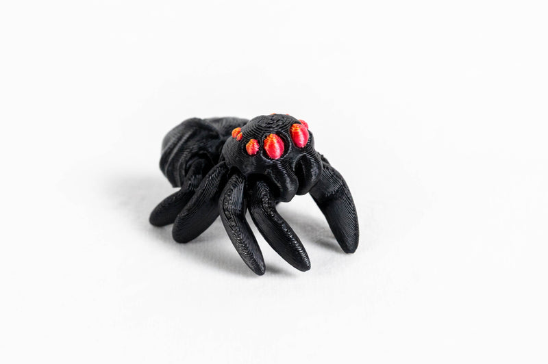 Spider : Black Arthropod Wigglitz