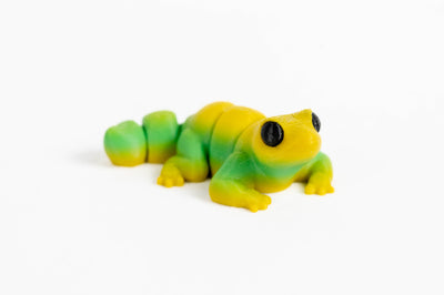 Lizard : Green Reptile 3D Printed Animal