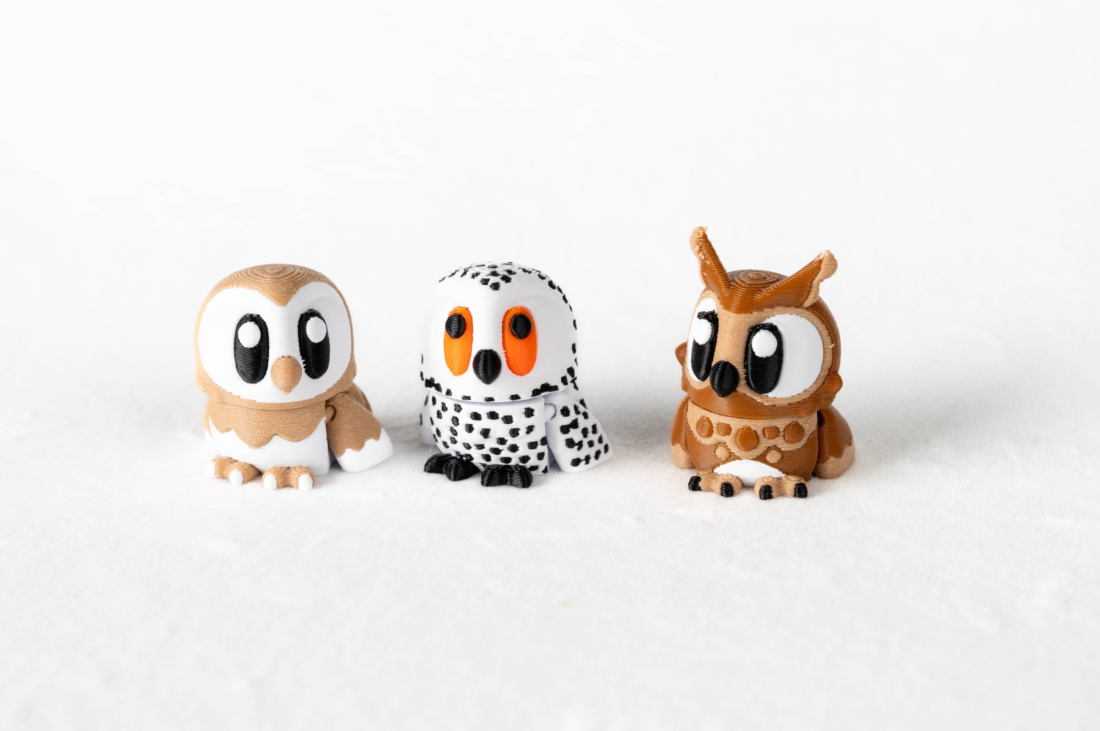 Owl Park & Owls