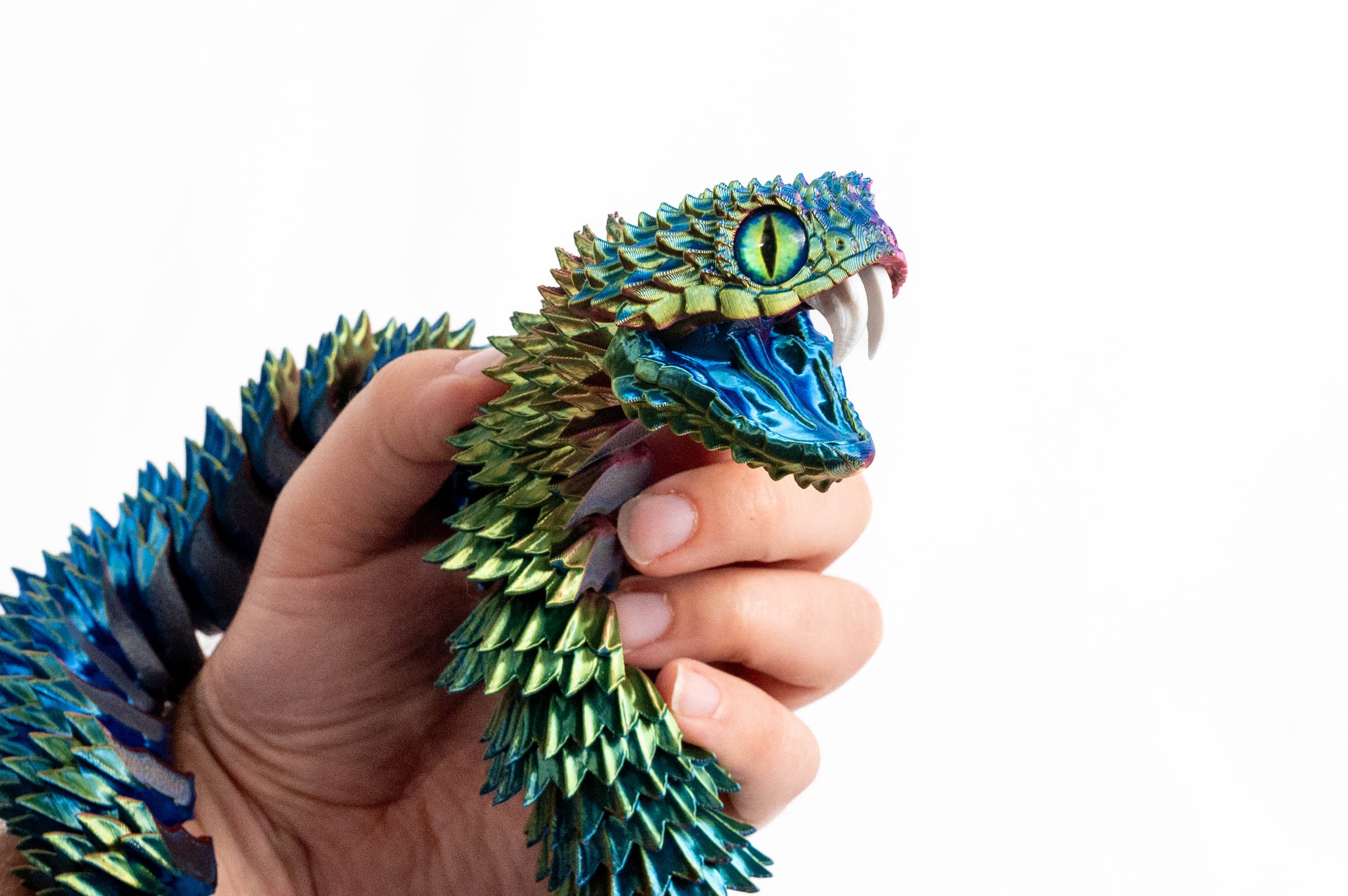 Paua Pearl | Bush Viper Snake