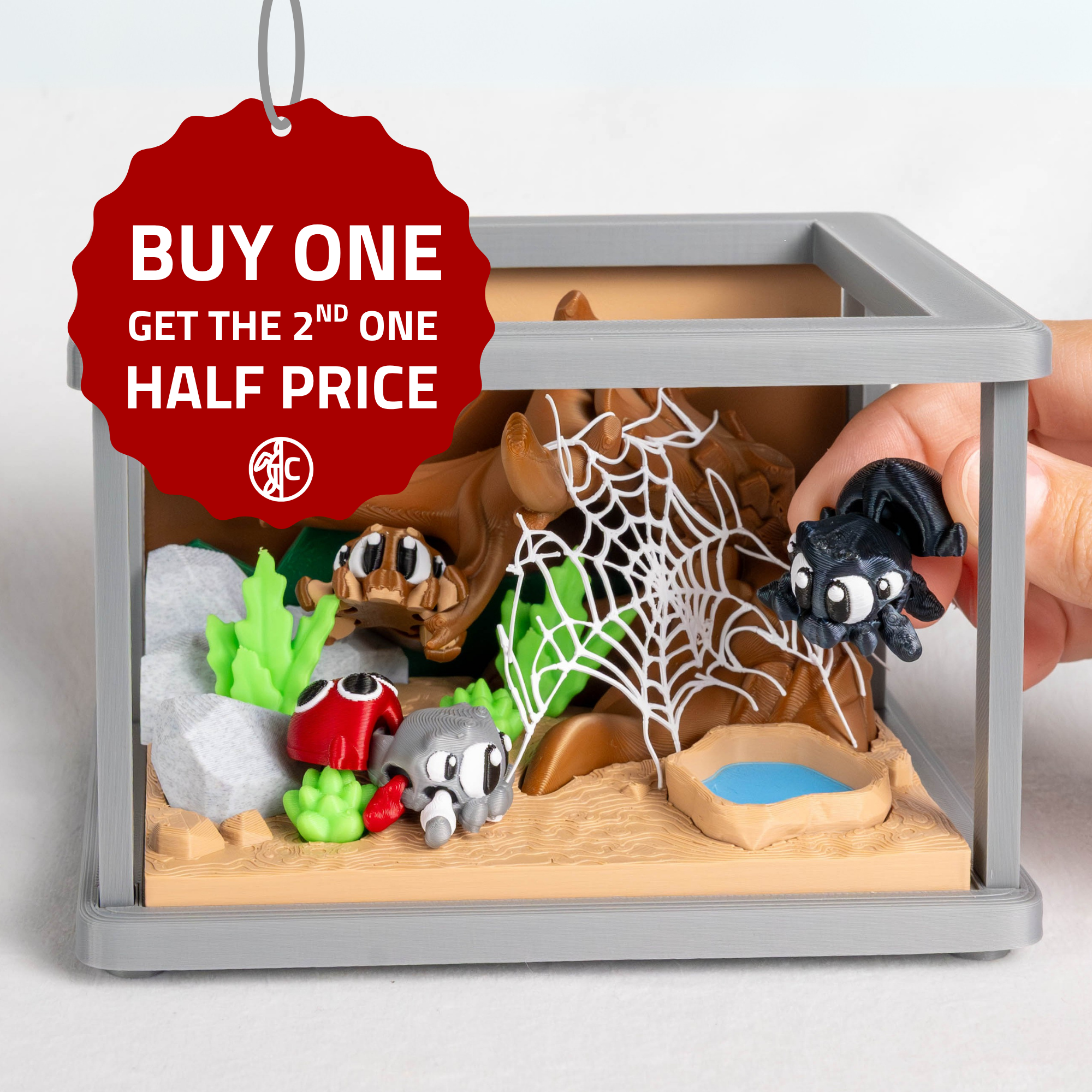 Spider Enclosure & 3 Spiders