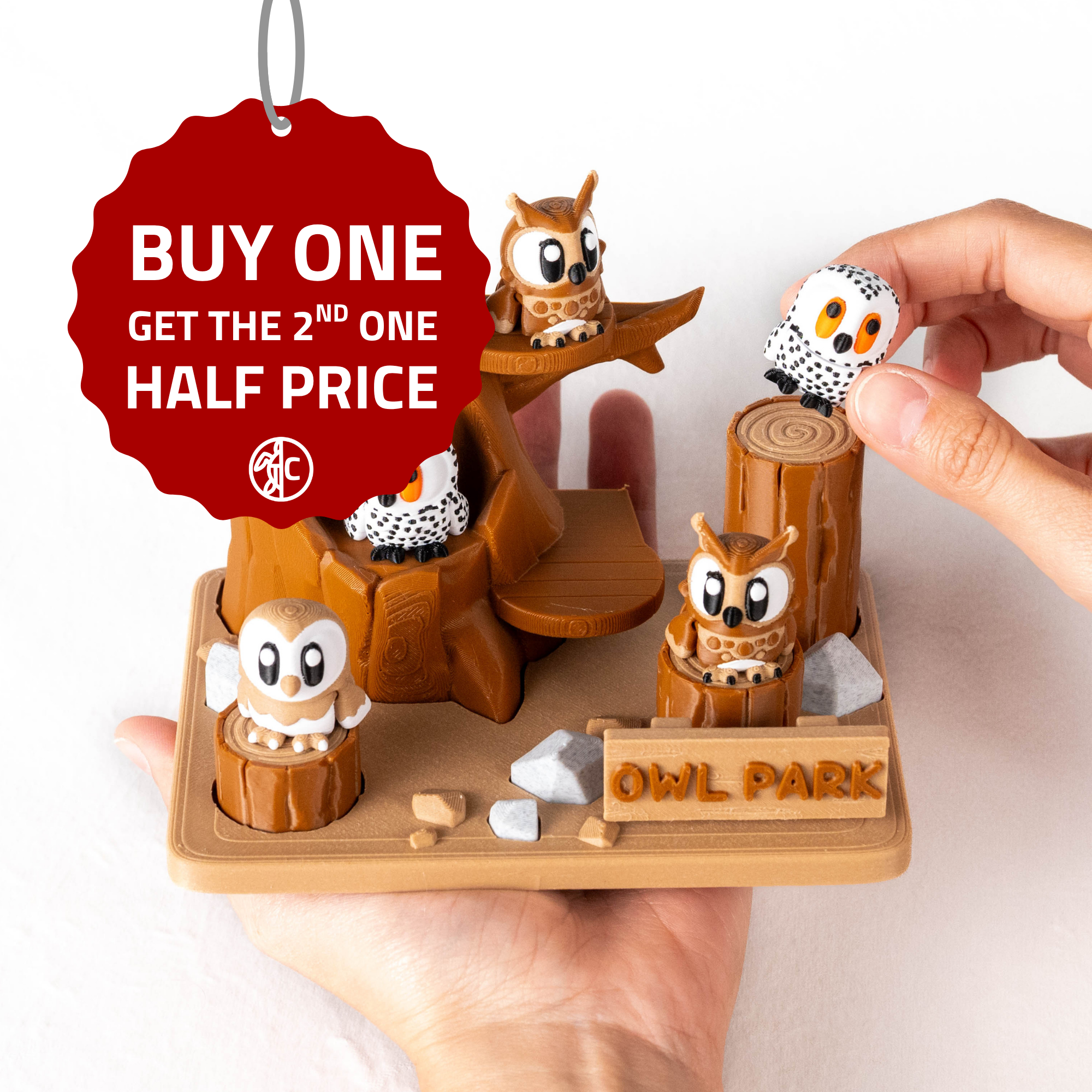Owl Park & Owls