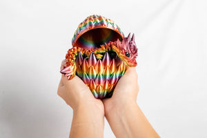 Rainbow / Small baby in a dragon egg
