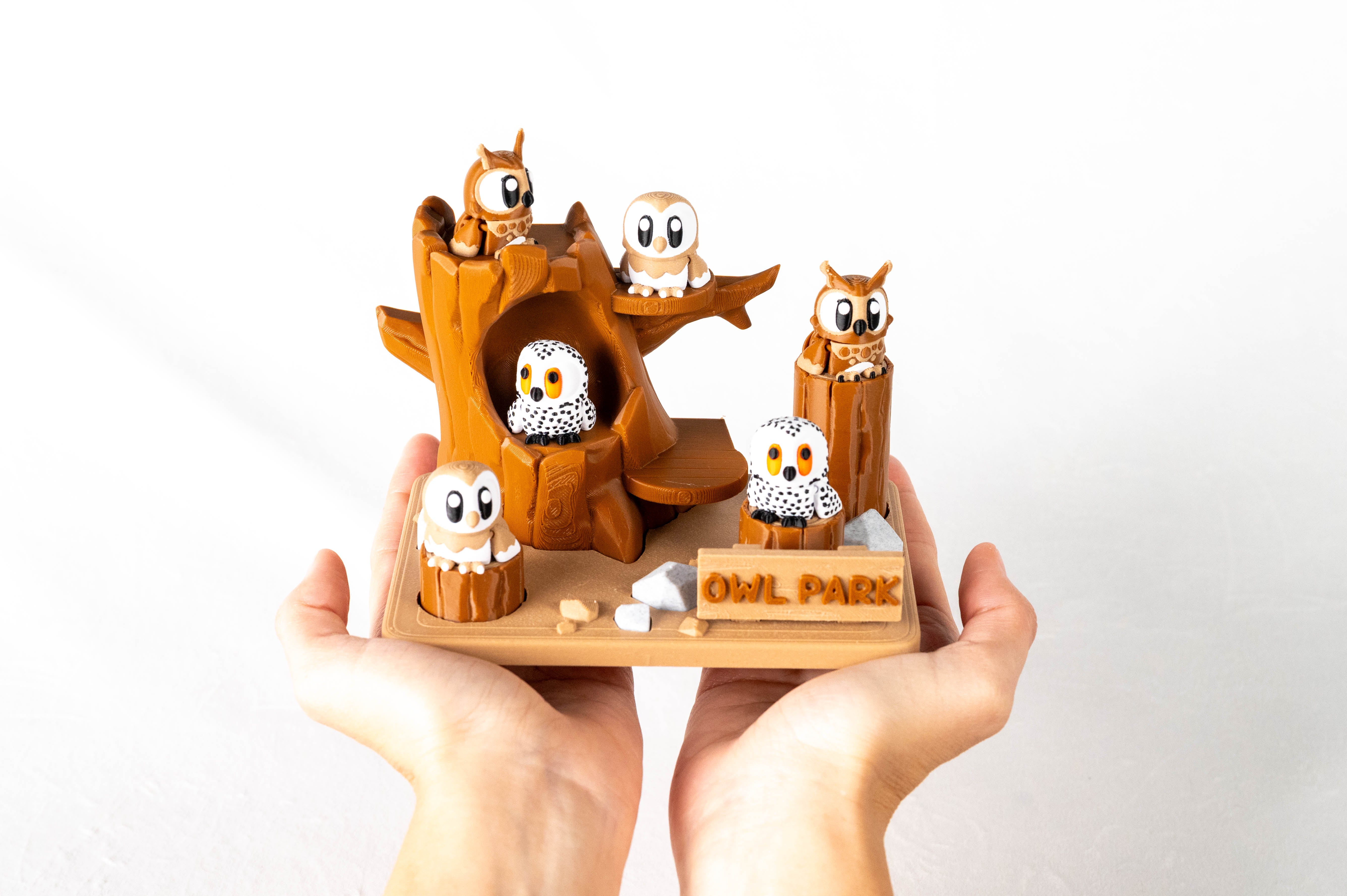 Owl Park & Owls