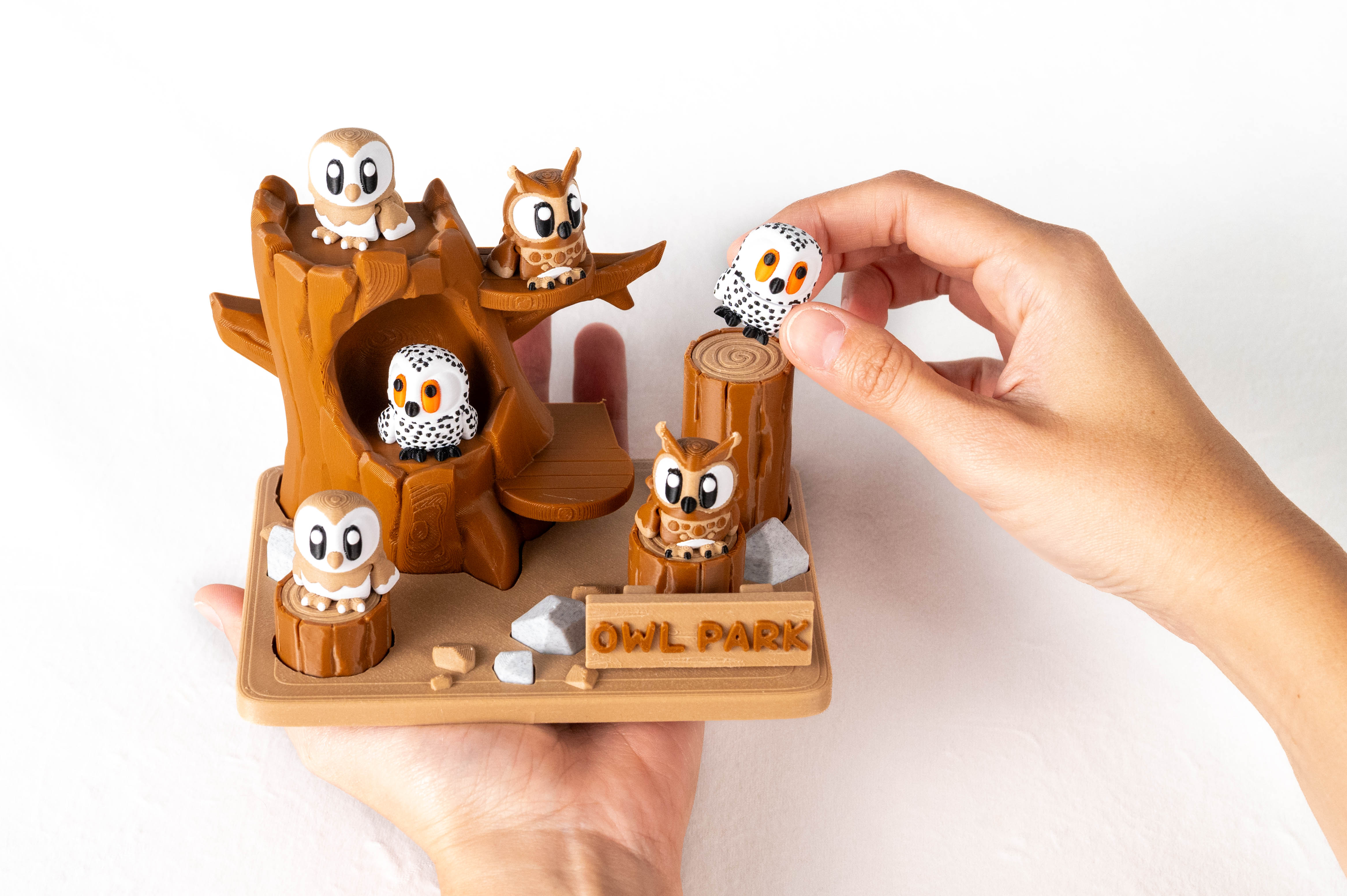 Owl Park & Owls