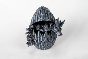 Obsidian / Small baby in a dragon egg