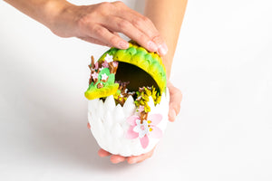 Nature / Small baby in a dragon egg