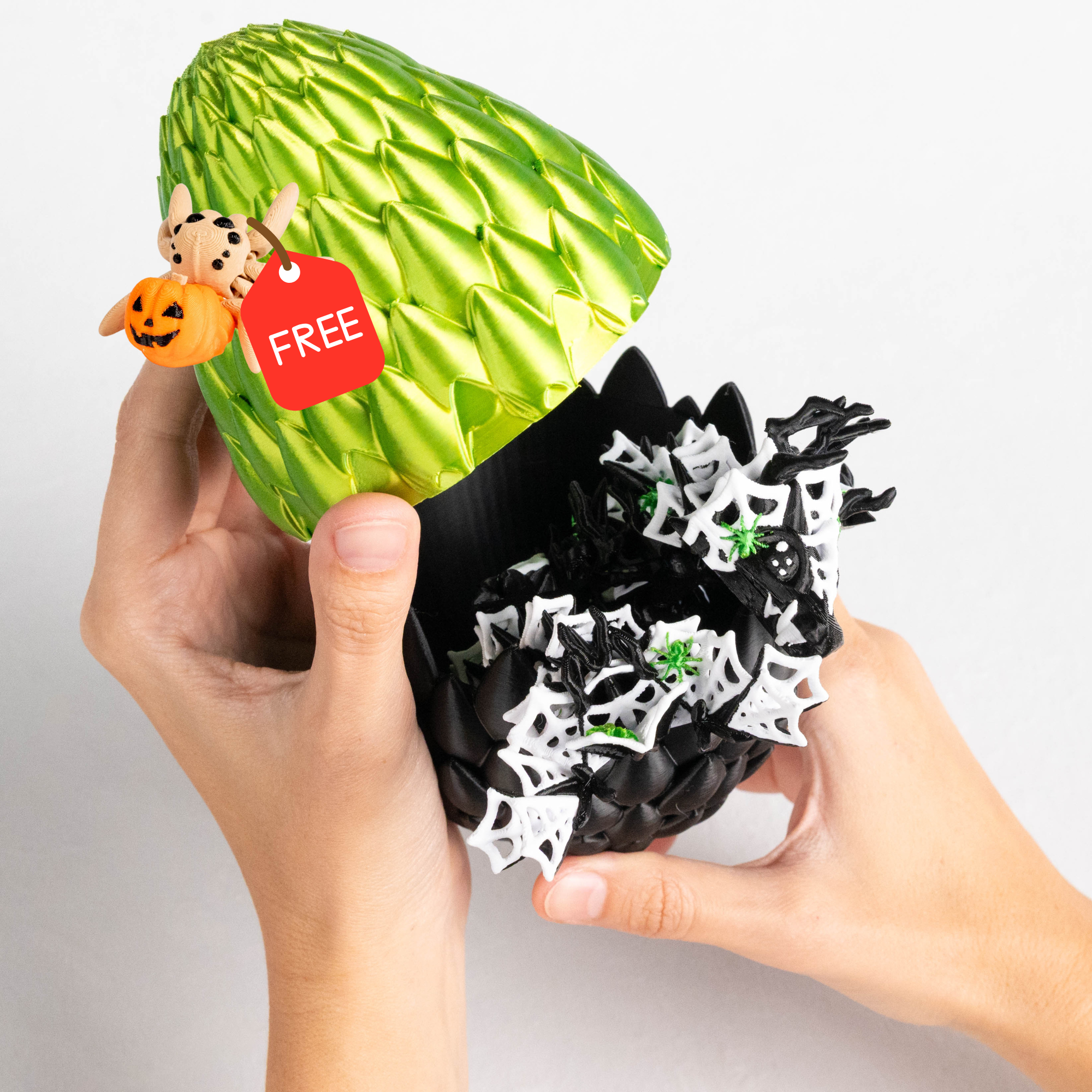 Green & Egg | + Free Spider
