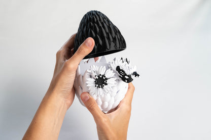 Monochrome | & Dragon Egg