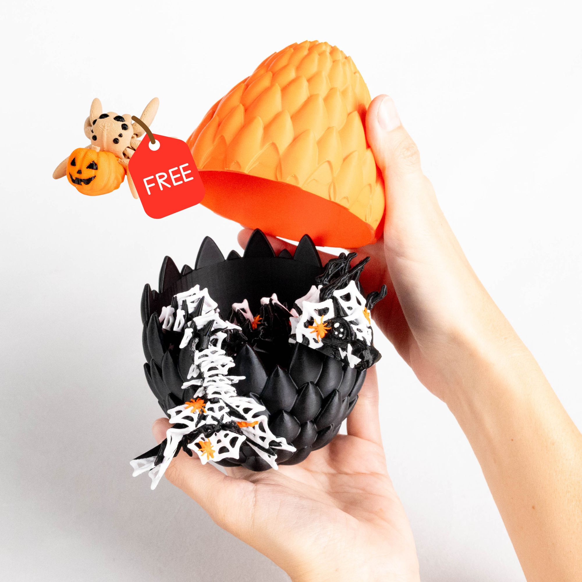 Orange & Egg | + Free Spider