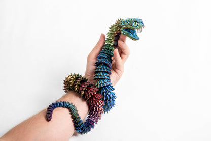 Paua Pearl | Bush Viper Snake