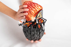 Red Monarch / Small baby in a regular egg