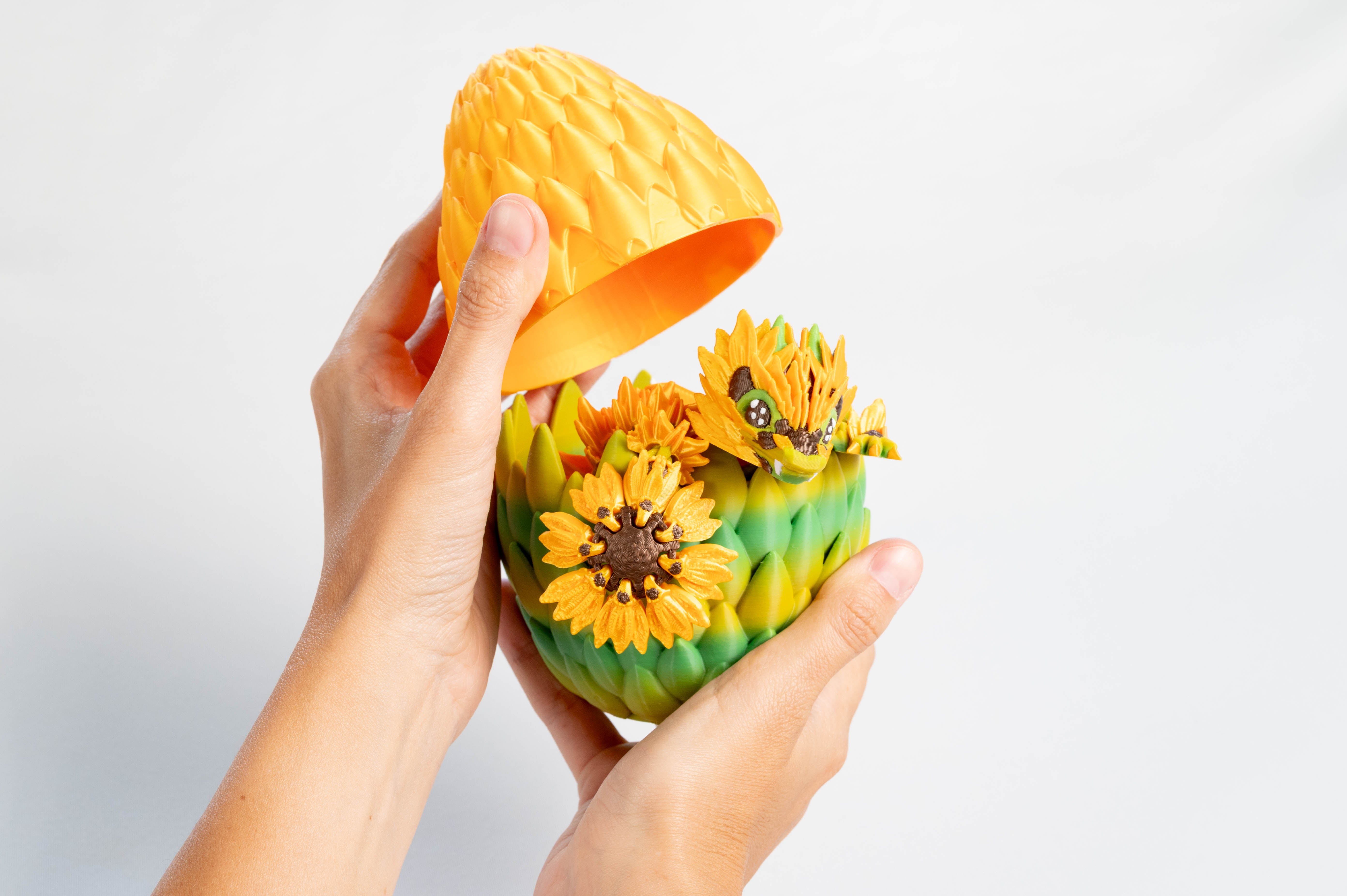 Sunflower | & Dragon Egg