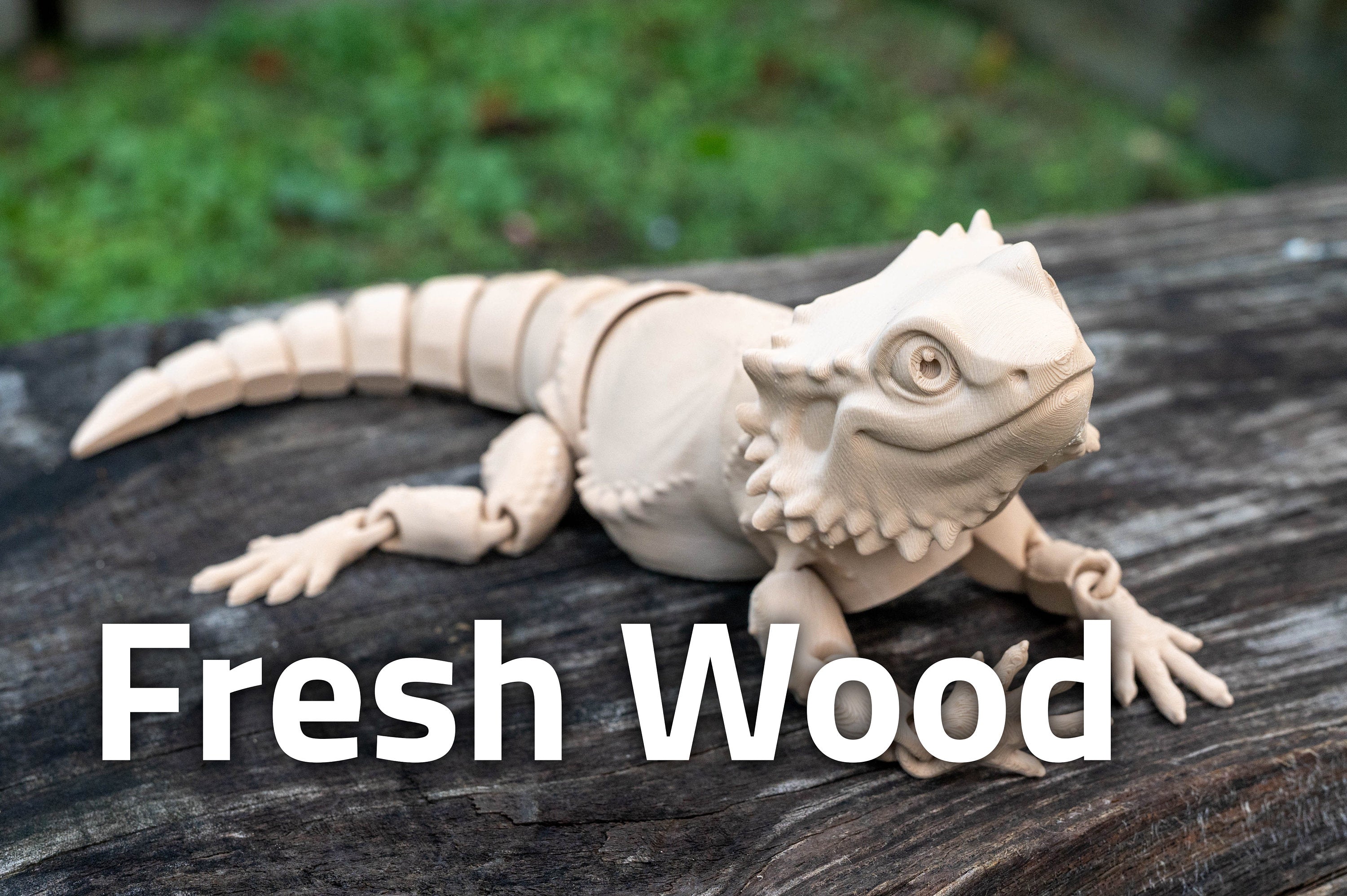 Bearded Dragon | Beardie | Australian Lizard | Fully Articulated | 3D Printed