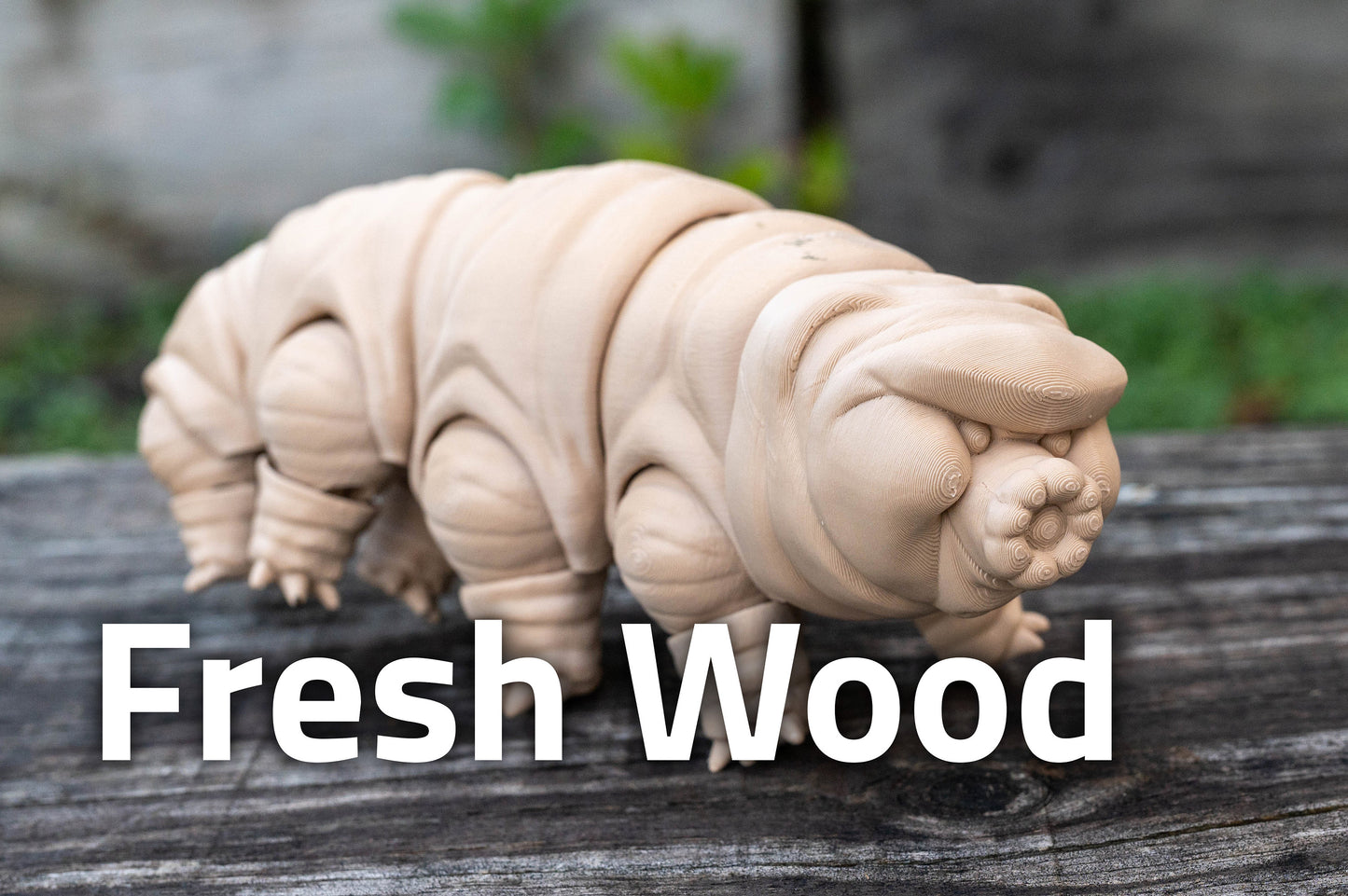 Tardigrade | Water Bear | Moss Piglet | Fidget Toy | Fully Articulated | 3D Printed